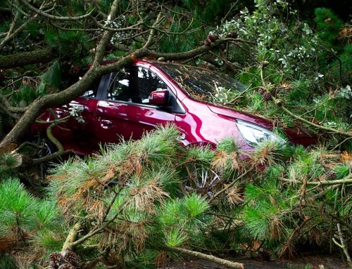 Obvezno i kasko osiguranje